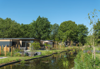 Feriehytter ved vand med grønne omgivelser og blå himmel på Veluwepark de Bosgraaf, Nederlandene.