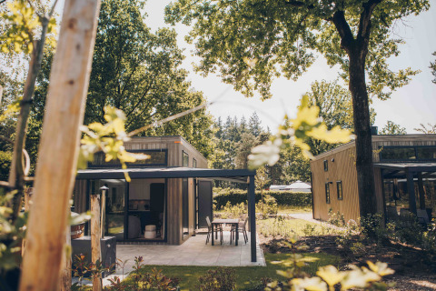 To moderne lodges med terrasser under træerne ved Reeëndal Lodge Comfort med Hottub i Veluwepark de Bosgraaf.