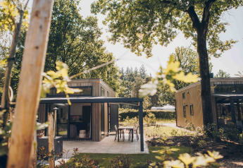 Dos lodges modernos con terraza y árboles en Reeëndal Lodge Comfort con jacuzzi, Veluwepark de Bosgraaf, Países Bajos.
