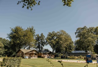Tienda safari Ranger Lodge en Recreation Park Den Blanken en los Países Bajos, rodeada de árboles verdes.