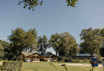 Tente safari Ranger Lodge au Recreation Park Den Blanken aux Pays-Bas, entourée d'arbres verdoyants.