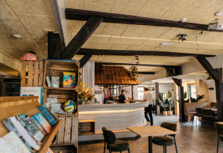 Cozy glamping accommodation interior featuring lounge seating, bar counter, shelves, and potted plants.