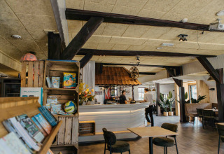 Interior acogedor de alojamiento glamping con sala, mostrador de bar, estanterías y plantas decorativas.