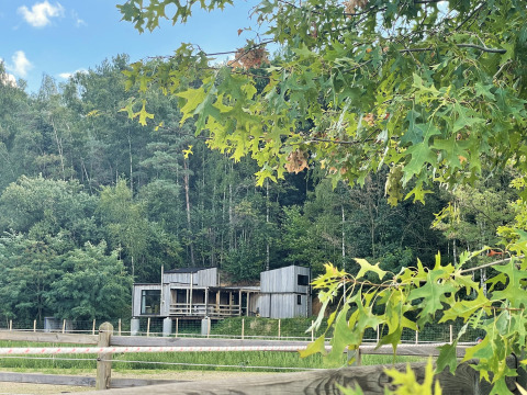 Tiny house con jacuzzi, Shelter presso Cosy Cabins nella foresta di Limburgo, Belgio, vista tra foglie verdi.