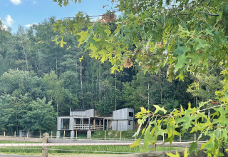 Pequeña casa con jacuzzi, Shelter en Cosy Cabins, bosque de Limburgo, Bélgica, vista entre hojas verdes.