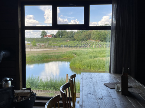 Uitzicht vanuit een tiny house met houten tafel op vijver, groene velden en wijngaarden in Limburg, België.
