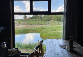 Vista da una tiny house con tavolo di legno su stagno, campi verdi e vigneti nella foresta di Limburg, Belgio.