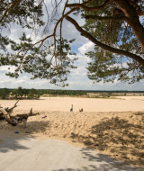 Zona de dunas naturales - Duinhoeve - Udenhout, Zelanda, Países Bajos
