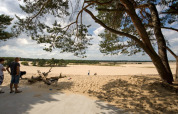Zone de dunes nature - Duinhoeve - Udenhout, Zeeland, Pays-Bas
