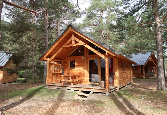 Montana Chalet Vista houten chalet in het bos, veranda met zitjes en picknicktafel, omringd door dennen.
