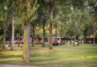 Bungalow in legno tra gli alberi al villaggio Huttopia Lac d'Aureilhan - Mimizan in Nuova Aquitania, Francia.