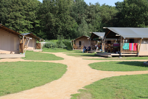 Veld met tenten - Duinhoeve - Udenhout, Zeeland, Nederland