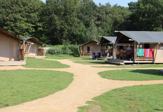Veld met tenten - Duinhoeve - Udenhout, Zeeland, Nederland