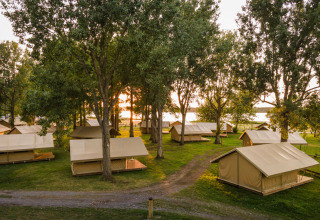 Sunrise shining through trees on safari tents at Classic Tent, Huttopia Lac d'Aureilhan - Mimizan in France.