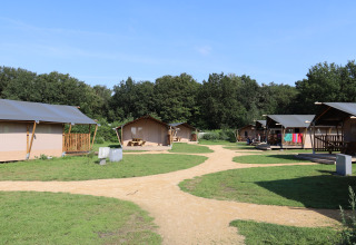 Mark med telte 2 - Duinhoeve - Udenhout, Zeeland, Holland