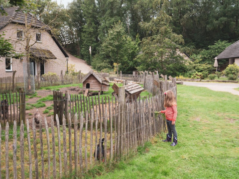 Een meisje voert dieren bij een houten hok op een boerderij in vakantiepark Sandberghe, Noord-Brabant.