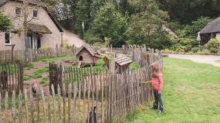 Pastos para animales - Sandberghe - Uden, Güeldres, Países Bajos