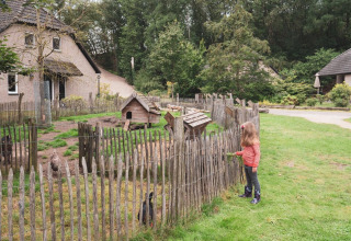 Pastos para animales - Sandberghe - Uden, Güeldres, Países Bajos