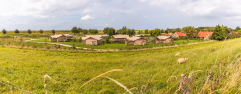 Panorama over ferieparken IJsselhof i Nordholland, Holland, med hytter, marker og græssende får.