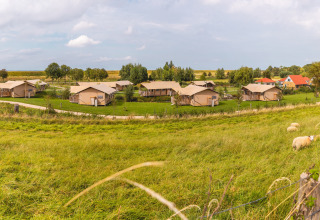 Panorama over ferieparken IJsselhof i Nordholland, Holland, med hytter, marker og græssende får.