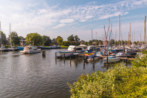 Boote und Yachten im Hafen, umgeben von Bäumen und Häusern bei Andijk, Nordholland, Niederlande.