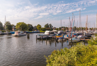 Boote und Yachten im Hafen, umgeben von Bäumen und Häusern bei Andijk, Nordholland, Niederlande.