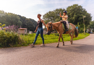 Kvinde leder en pony med et barn på ryggen gennem Vakantiepark IJsselhof, en feriepark i Holland.