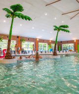 Overdekt zwembad met kunstpalmbomen en zwemmers in Vakantiepark IJsselhof, Noord-Holland.