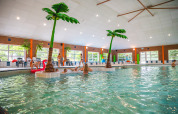 Binnenzwembad met kunstpalmbomen en zwemmers bij Vakantiepark IJsselhof in Noord-Holland.