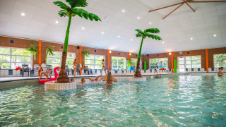 Overdekt zwembad met kunstpalmbomen en zwemmers in Vakantiepark IJsselhof, Noord-Holland.