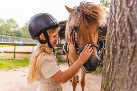 En pige med sikkerhedshjelm kæler for en hest i en udendørs stald i Vakantiepark IJsselhof i Holland.