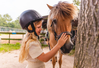 Una bambina con il casco accarezza un cavallo vicino a un albero al Vakantiepark IJsselhof, Olanda Settentrionale.