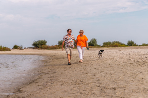 Älteres Paar spaziert mit ihrem Hund am Strand nahe Andijk, Nordholland, Niederlande entlang.