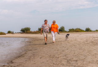 Pareja mayor paseando a su perro por la playa cerca de Andijk, en Holanda Septentrional, Países Bajos.