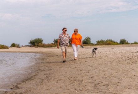Ouder koppel wandelt met hun hond op het strand nabij Andijk, Noord-Holland, Nederland.