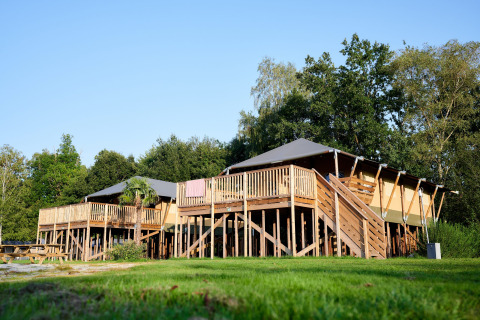 Safari Boomhut på Camping Goorzicht i Holland, hævet på træstolper med terrasse og grøn omgivelse.