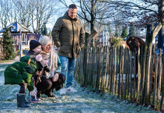 Een gezin bekijkt een geit achter een houten hek bij Sandberghe vakantiepark in Noord-Brabant, Nederland.