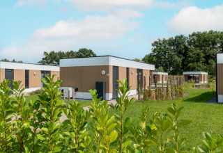 Modern Water Lodge 2 with hot tub at Hofparken Wiltershaar in the Netherlands, surrounded by grass and trees.