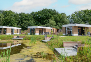 Modern water lodge with sauna and hot tub by a pond, surrounded by greenery at Hofparken Wiltershaar, Netherlands.