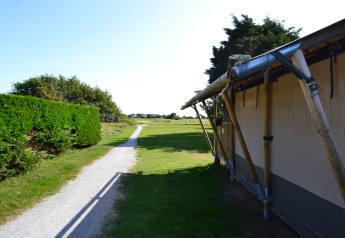 Sentiero accanto a una tenda safari e siepe verde al Parc Koudenburg, Paesi Bassi, in una giornata soleggiata.