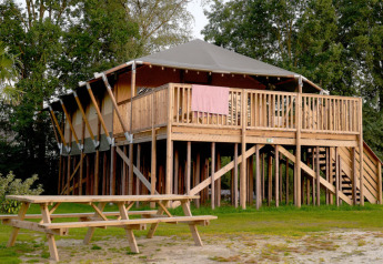 Safari Boomhut boomhut met terras en picknicktafel bij Camping Goorzicht in Nederland, tussen de bomen.
