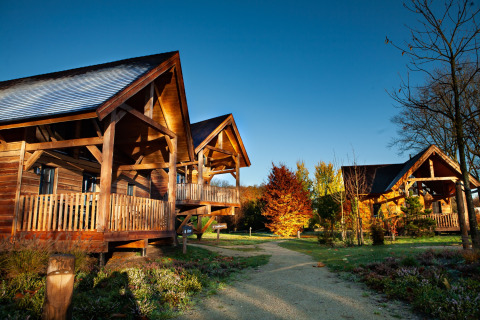 Charmante houten vakantiehuisjes bij Sandberghe, vakantiepark in Noord-Brabant, Nederland, omringd door natuur.