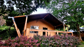 Safari tent with wooden deck and sanitary facilities, surrounded by lush greenery and tall trees.
