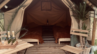 Gemütliches Duo-Safari-Zelt mit Holzboden, zwei Betten, Pflanzen, Tisch, Stühlen und Sekt.