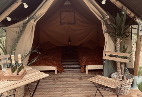 Inviting Duo safari tent with wooden floor, two beds, plants, table, chairs, and champagne on tray.