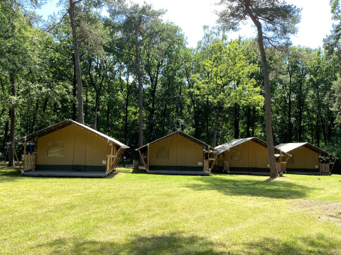 Varias tiendas safari en césped en Vakantiepark Bonte Vlucht, Países Bajos, rodeadas de árboles verdes y naturaleza.