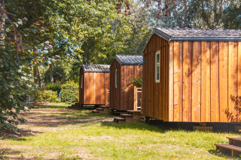 Træbeklædte hytter i række omgivet af grønne træer og græs på Cottage Lodge under solskin.