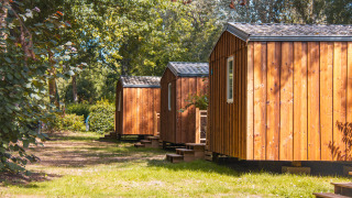 Wooden cabins lined up on grass among green trees at Cottage Lodge on a sunny day.