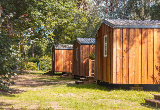 Træbeklædte hytter i række omgivet af grønne træer og græs på Cottage Lodge under solskin.