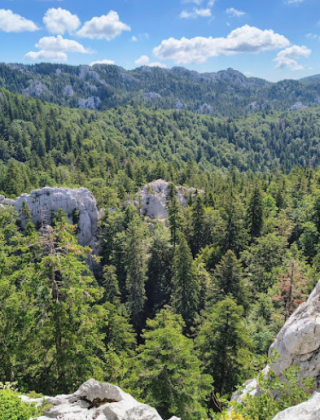 Vista panorámica de bosques y acantilados rocosos cerca de Krk, Primorje-Gorski Kotar, Croacia.